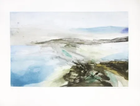 蚀刻飞尘法 Zao - MP 256