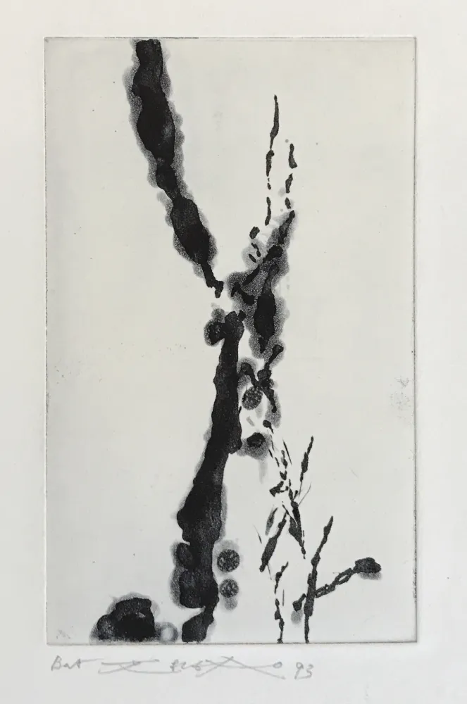 蚀刻飞尘法 Zao - Rompre le cri (374)