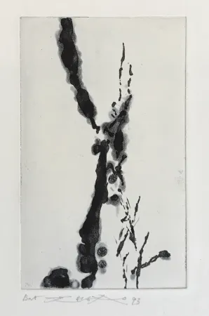 蚀刻飞尘法 Zao - Rompre le cri (374)