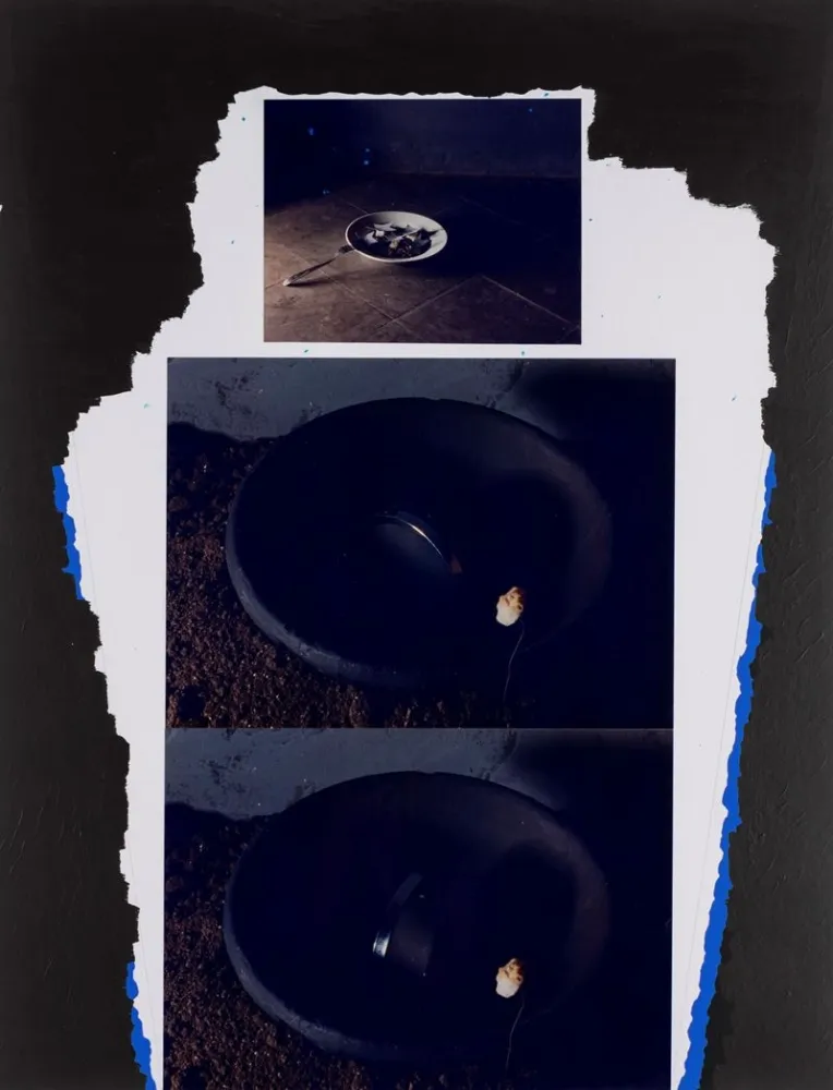 单版画 Zaza - Trasfigurazione