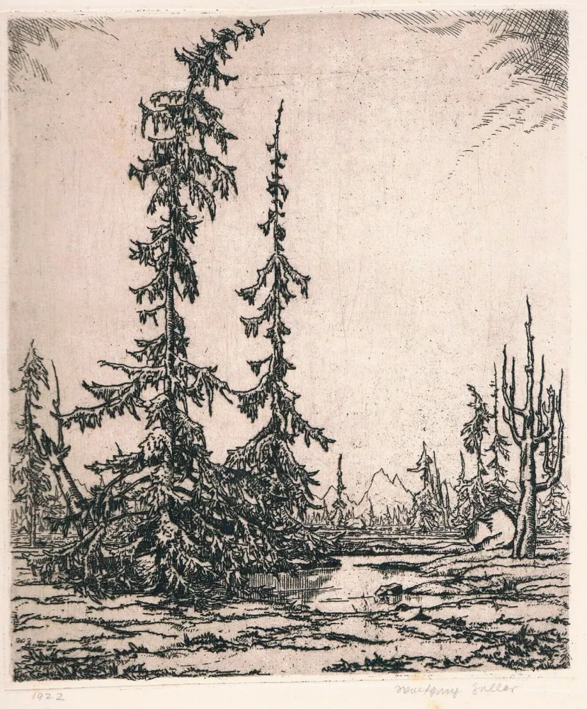 版画 Zeller - Landschaft
