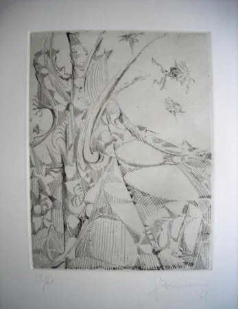 蚀刻版画 Zimmermann - The international avant garde 2