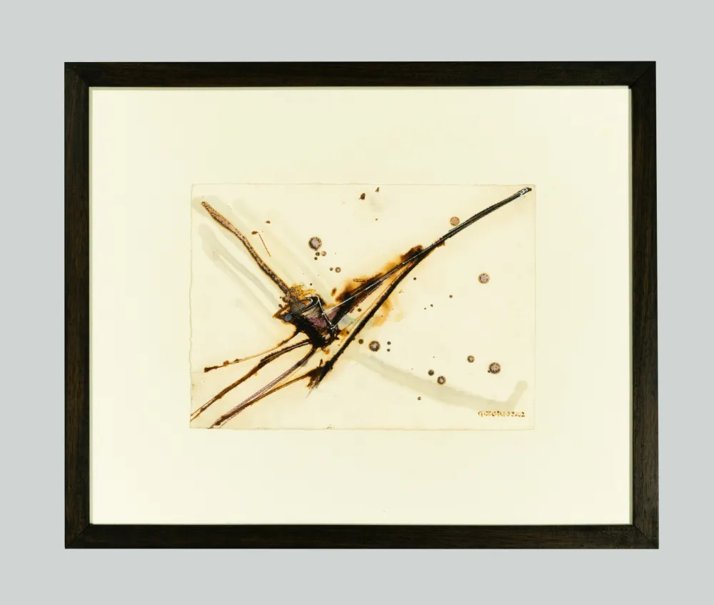 无技术 Zorio - Senza titolo (Canoa)