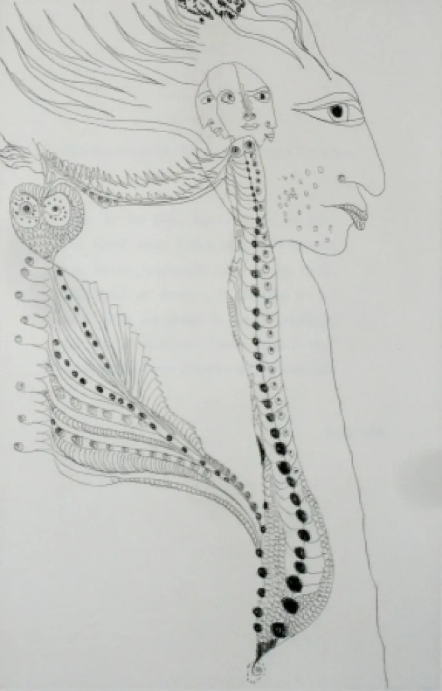 蚀刻飞尘法 Zurn - Oracles et spectacles 6