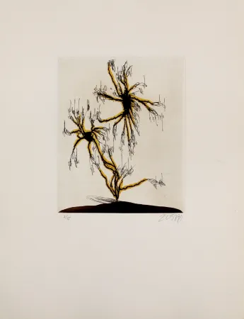 蚀刻飞尘法 Zush - Anzuras