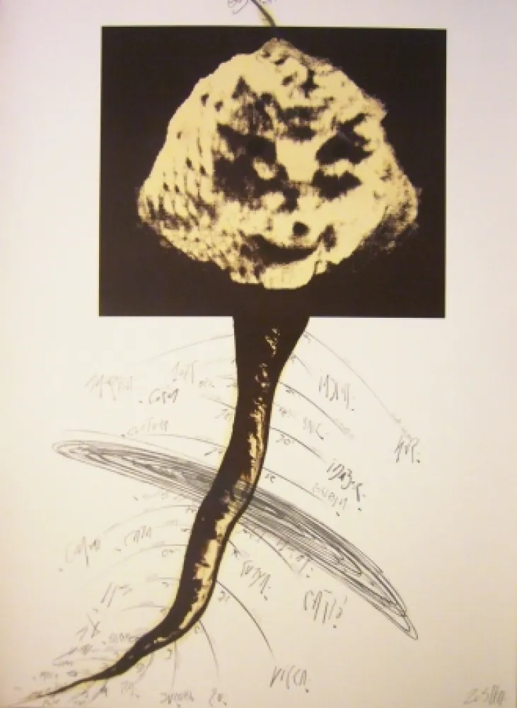 石版画 Zush - Sans titre 2