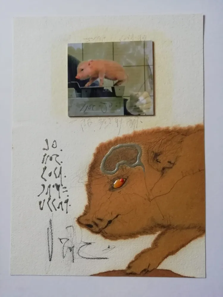 无技术 Zush - Socjomo