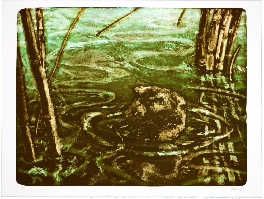 石版画 Aceves Humana - Sans titre