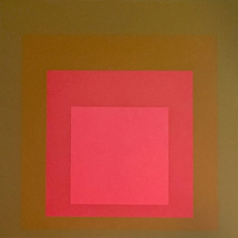 丝网印刷 Albers - I-S LXXI b