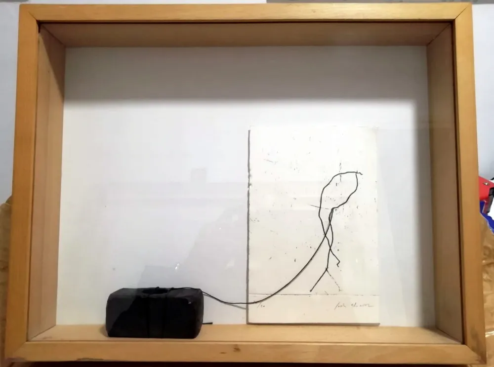 复数作品 Alcaraz - Linia passejant Marten