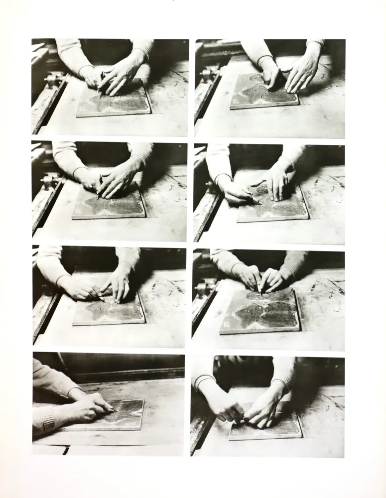 摄影 Alechinsky - Les mains de Jorn