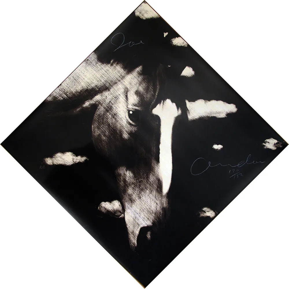 丝网印刷 Andoe - Horse II