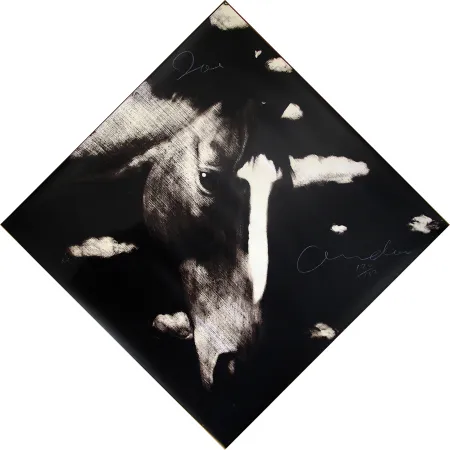 丝网印刷 Andoe - Horse II