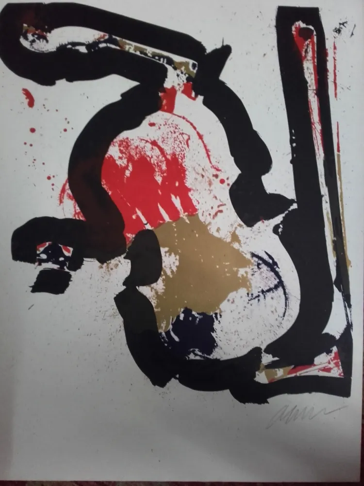 石版画 Arman - Sans titre