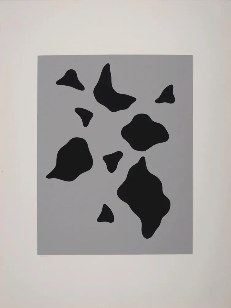 丝网印刷 Arp - Constellation 