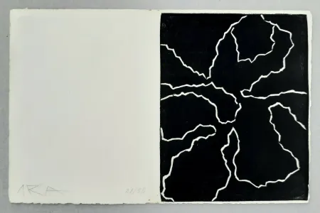 油毡版画 Arp - Fleurs