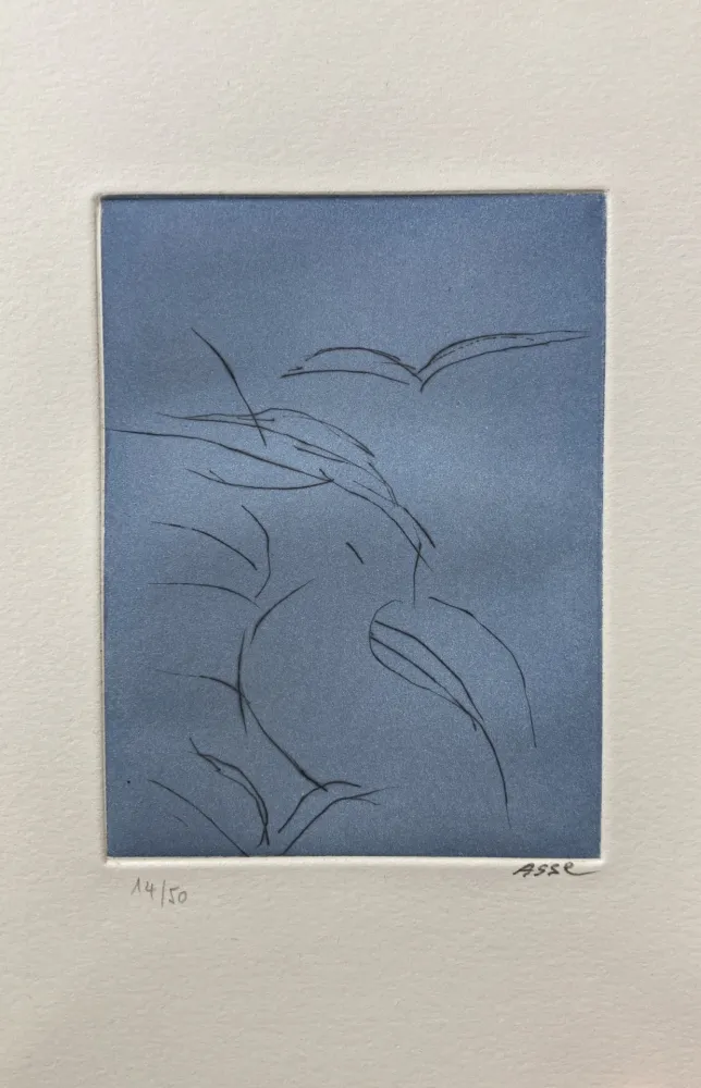 插图书 Asse - Notes sur Thème. 9 pointes sèches. 