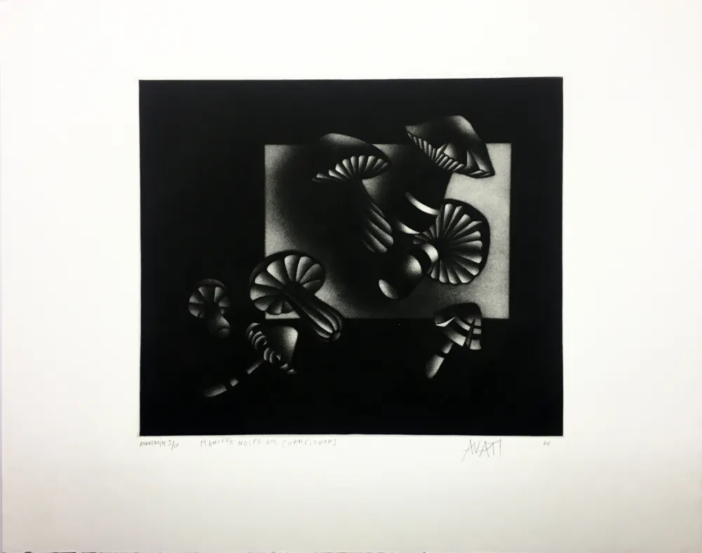 美柔汀铜版画 Avati - Manière noire aux champignons (1964)