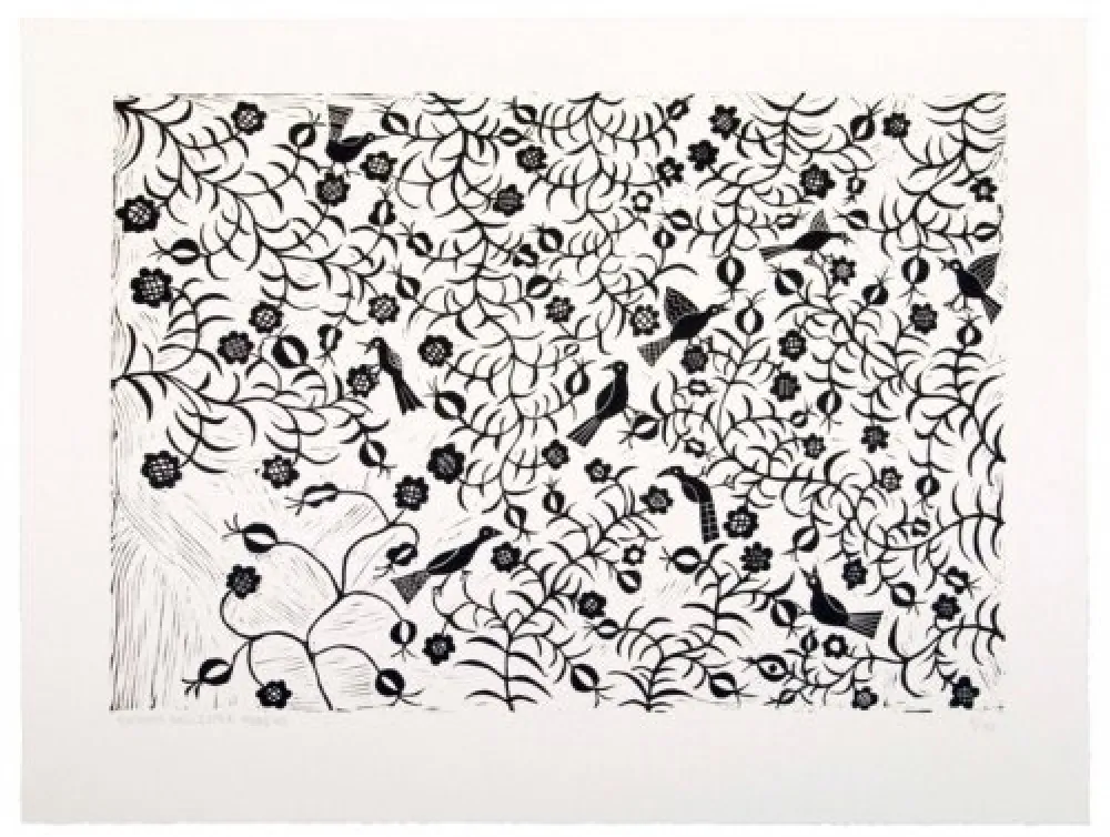 复数作品 Ballester Moreno - Pájaros