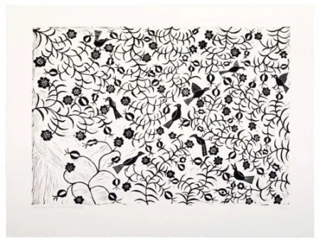 复数作品 Ballester Moreno - Pájaros