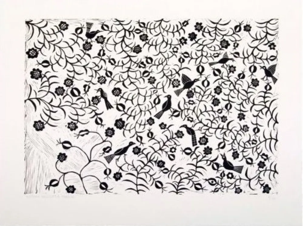 复数作品 Ballester Moreno - Pájaros