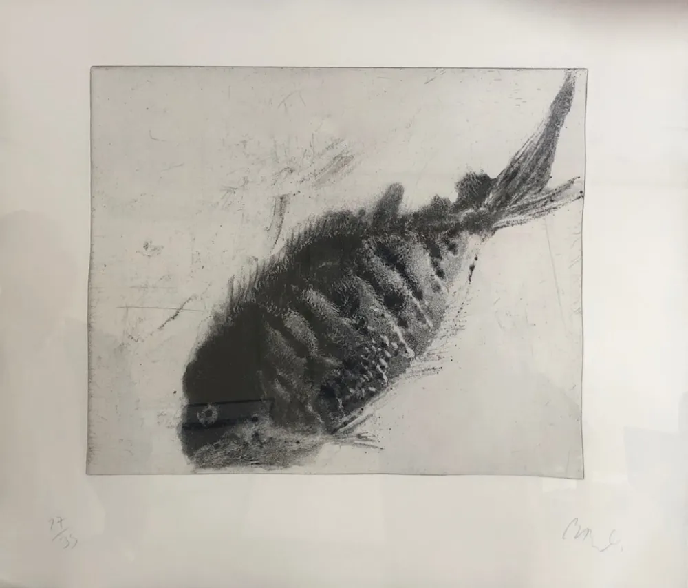 飞尘腐蚀法 Barcelo - Lanzarote 40