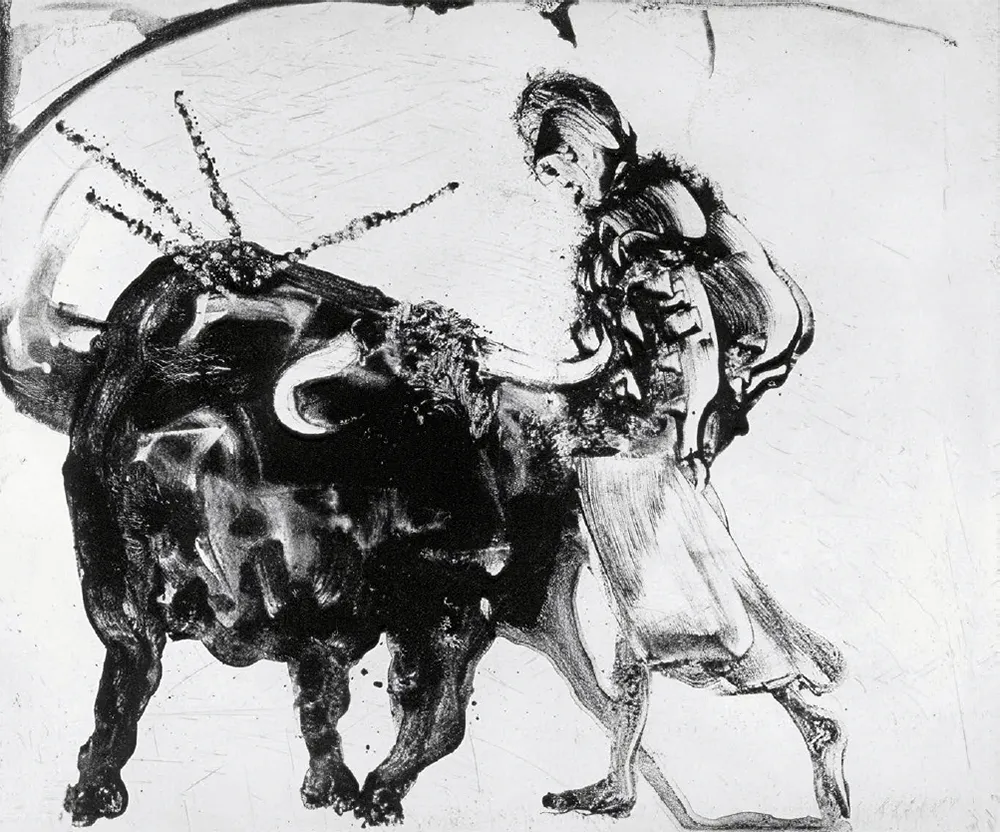 飞尘腐蚀法 Barcelo - Lanzarote 56