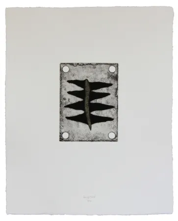 蚀刻飞尘法 Baroja-Collet - Babiene