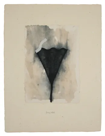 复数作品 Baroja-Collet - Collage