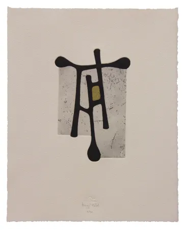 蚀刻飞尘法 Baroja-Collet - Contraseña