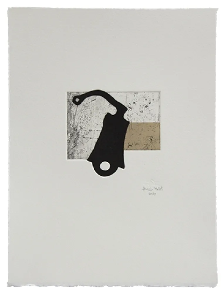 蚀刻飞尘法 Baroja-Collet - Despertando sospechas