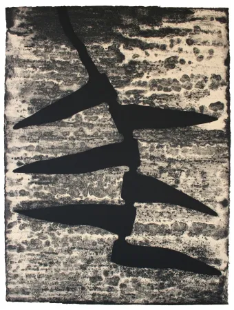 蚀刻飞尘法 Baroja-Collet - Garoa