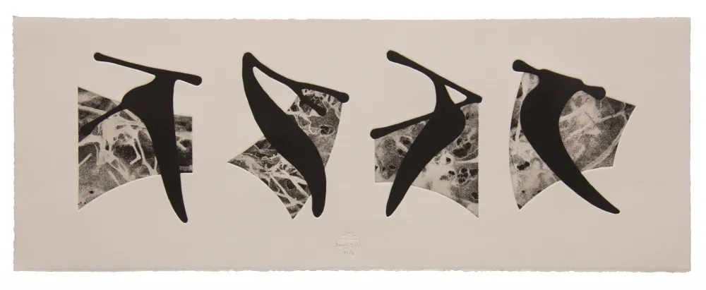 蚀刻飞尘法 Baroja-Collet - Neguko kronika