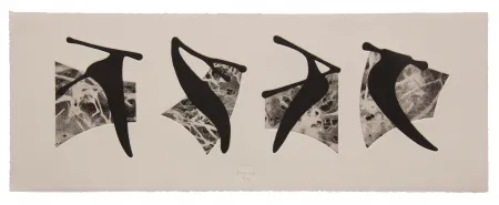 蚀刻飞尘法 Baroja-Collet - Neguko kronika