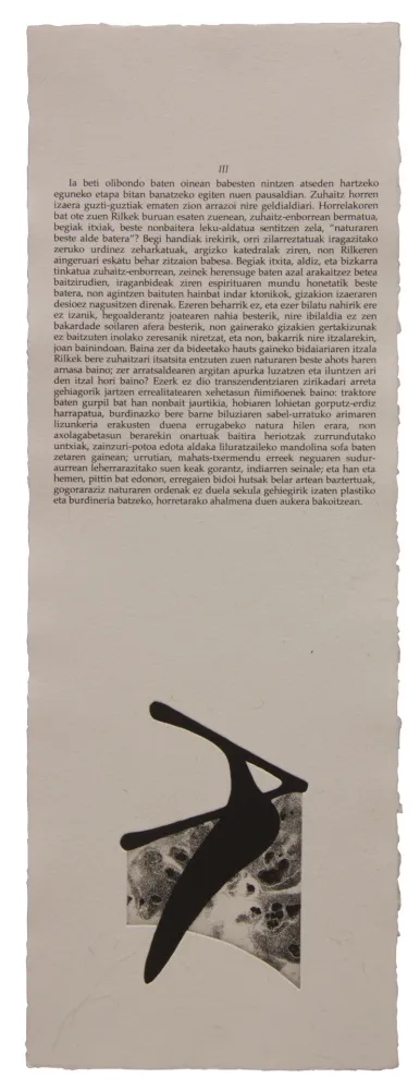 插图书 Baroja-Collet - Neguko kronika hegoaldeko ordeketan