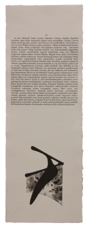 插图书 Baroja-Collet - Neguko kronika hegoaldeko ordeketan