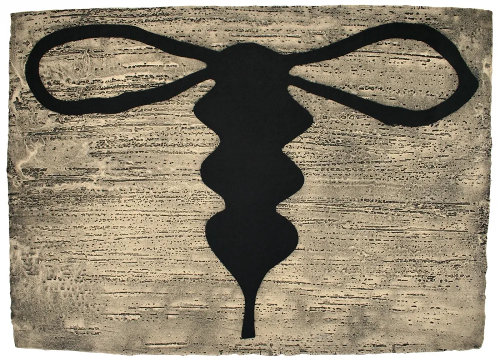 蚀刻飞尘法 Baroja-Collet - Recuerdos Amañados I