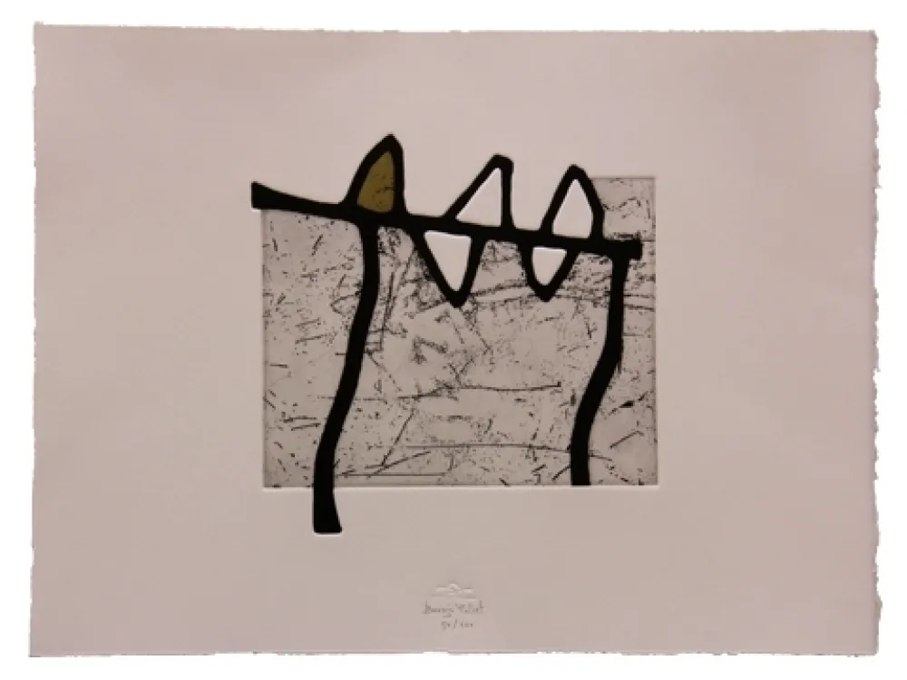 蚀刻飞尘法 Baroja-Collet - Zubia - Donostia 2016