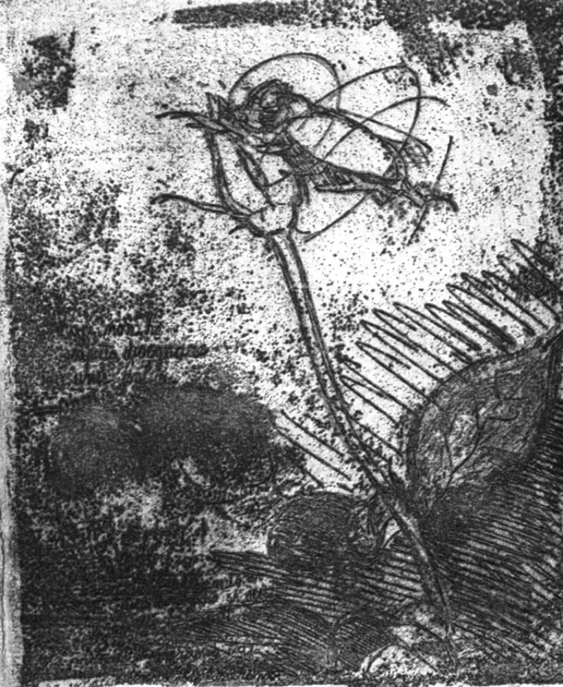 蚀刻版画 Bartolini - La rosa