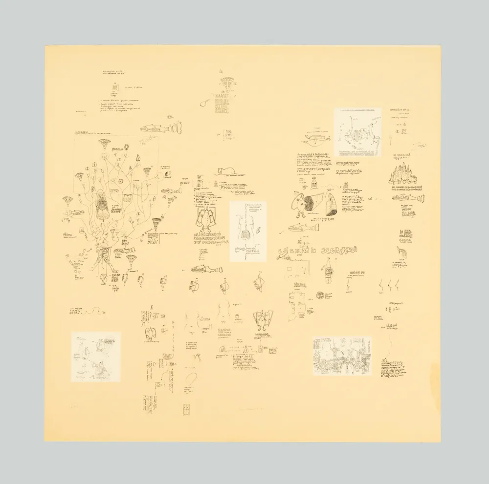 丝网印刷 Baruchello - Senza titolo