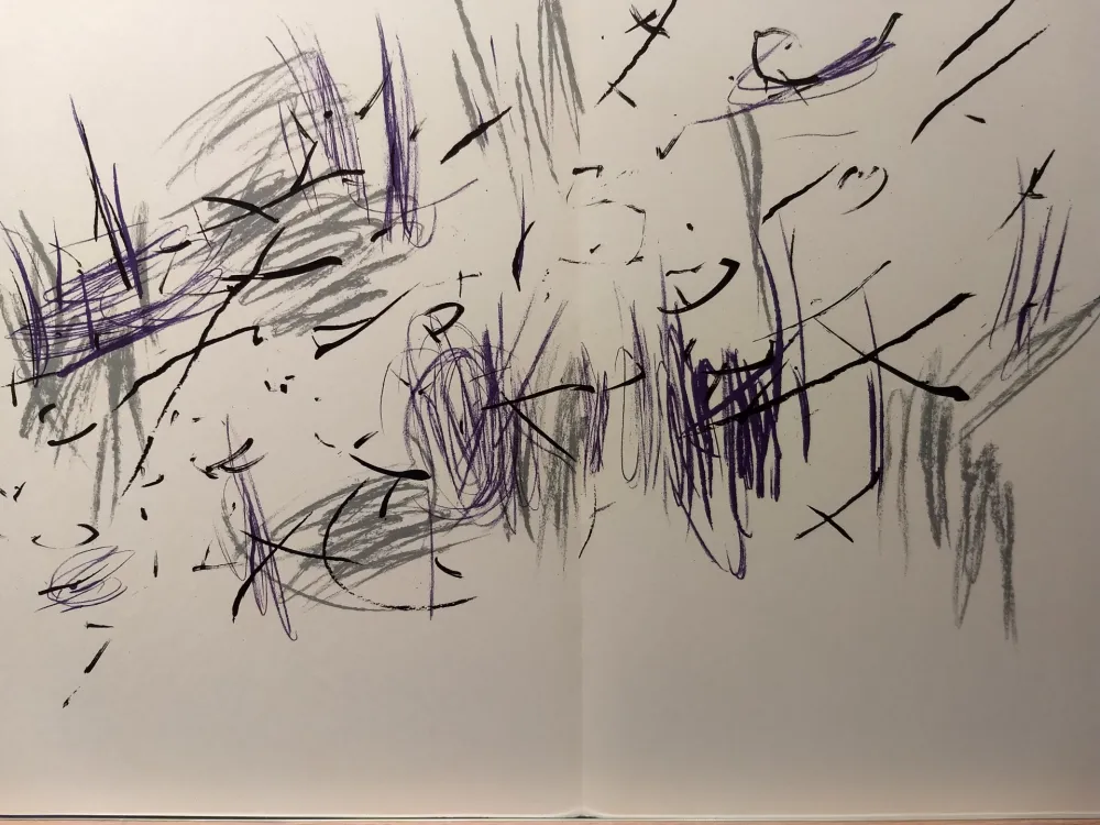 插图书 Bazaine - DLM 197