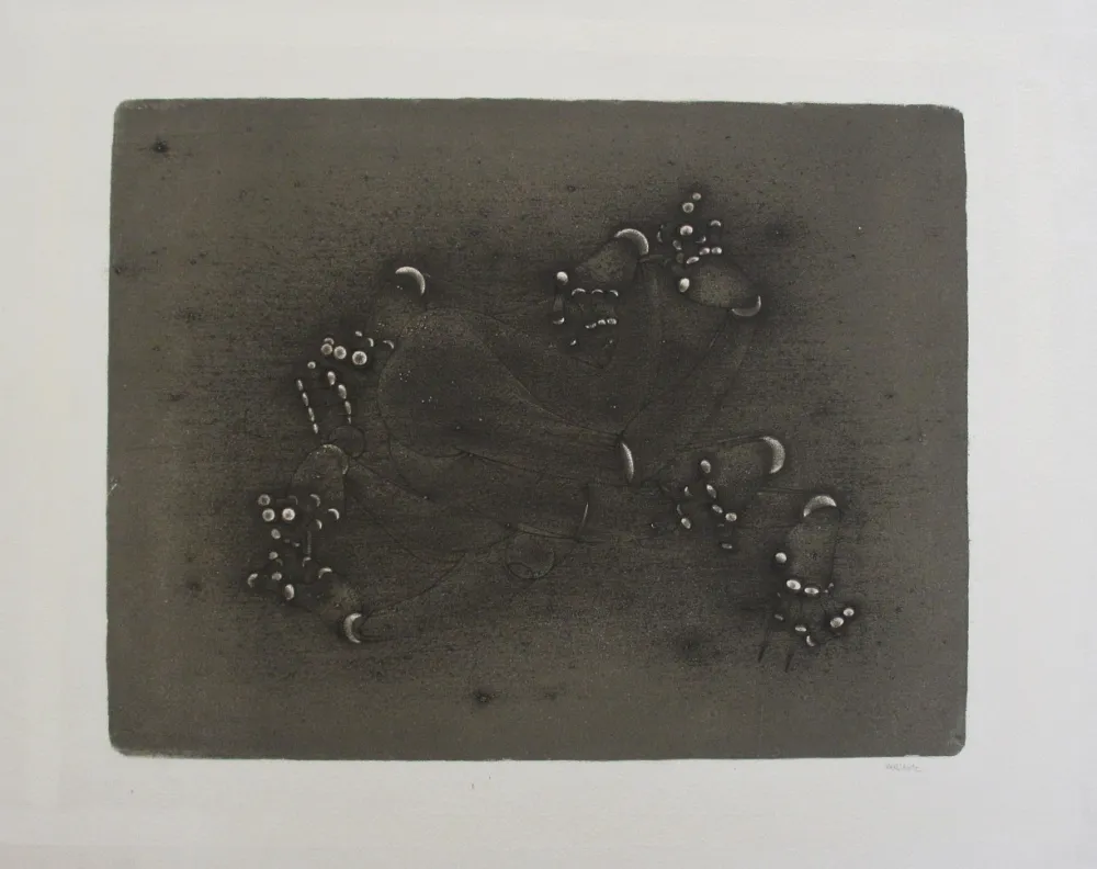 石版画 Bellmer - Les Mains Articulées