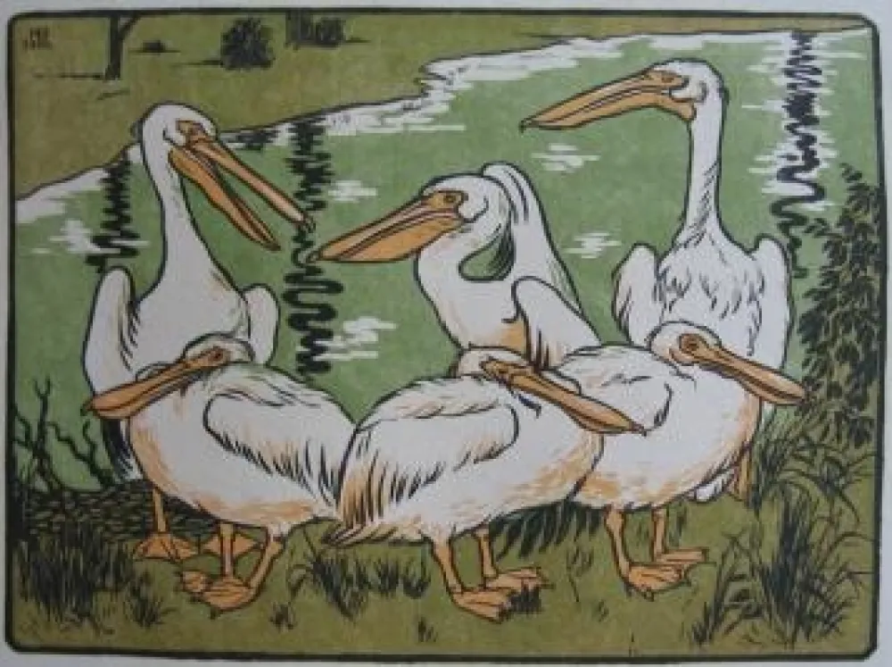 木刻 Berthold - Pelikane