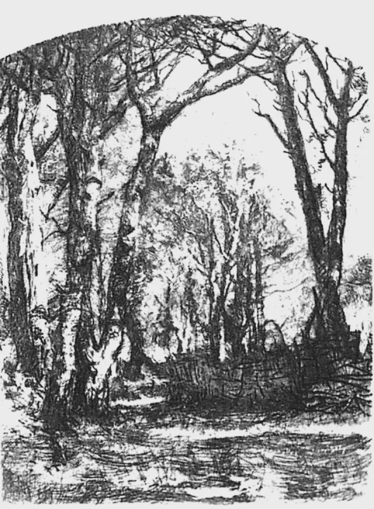 蚀刻版画 Bianchi - Il bosco