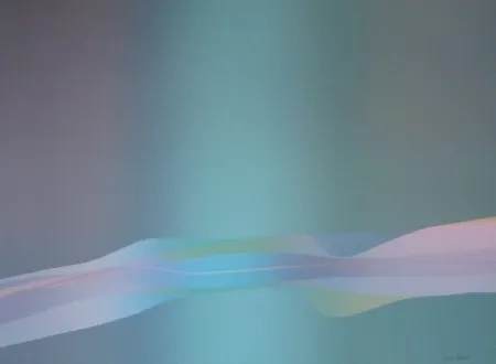 石版画 Bird - Spectre lumière 1