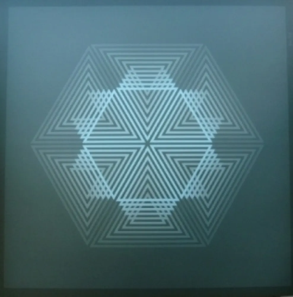 石版画 Bird - Tribute to vasarely 12