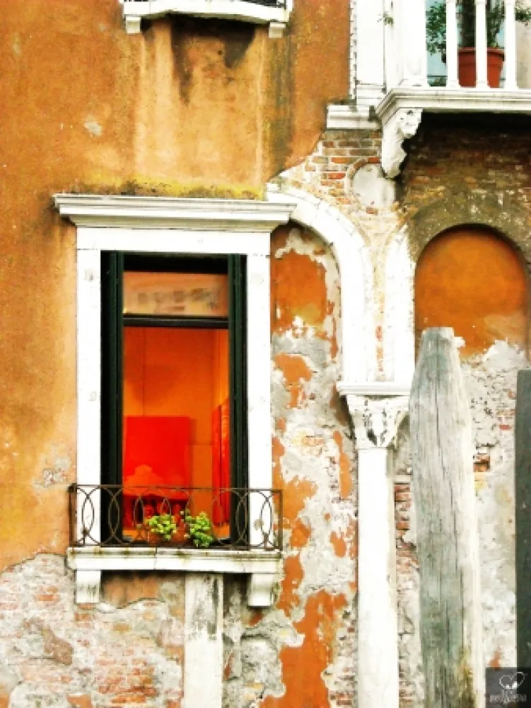 摄影 Bohorquez - Arco