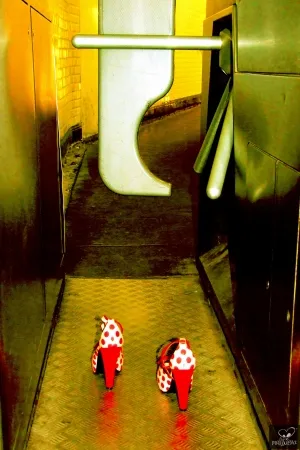 摄影 Bohorquez - Exit