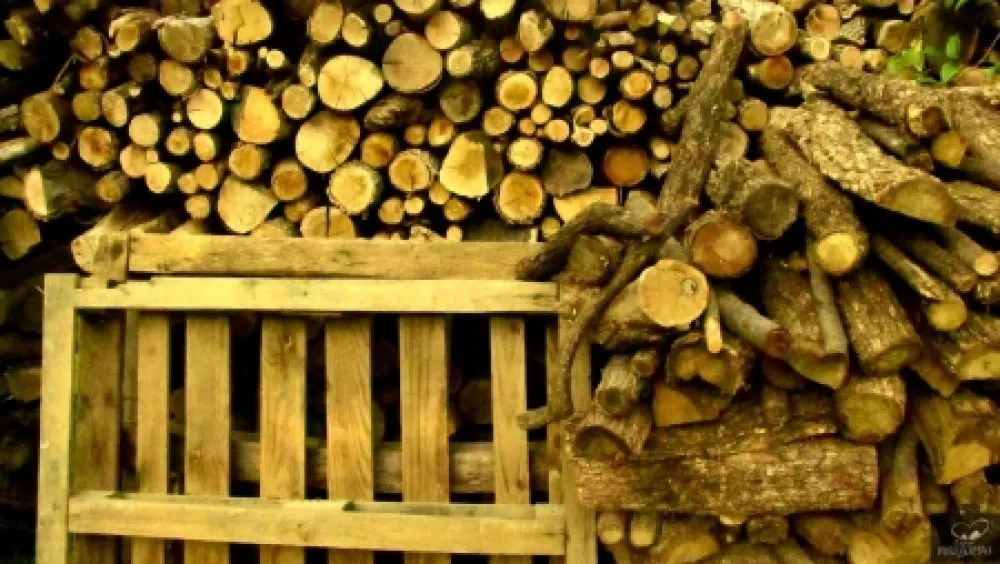 摄影 Bohorquez - Palos de Moguer