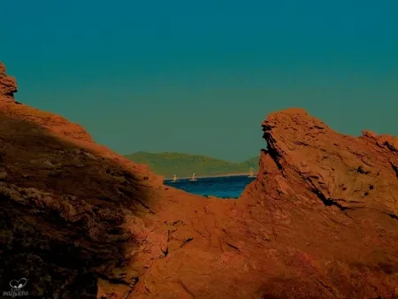 摄影 Bohorquez - Rocosas